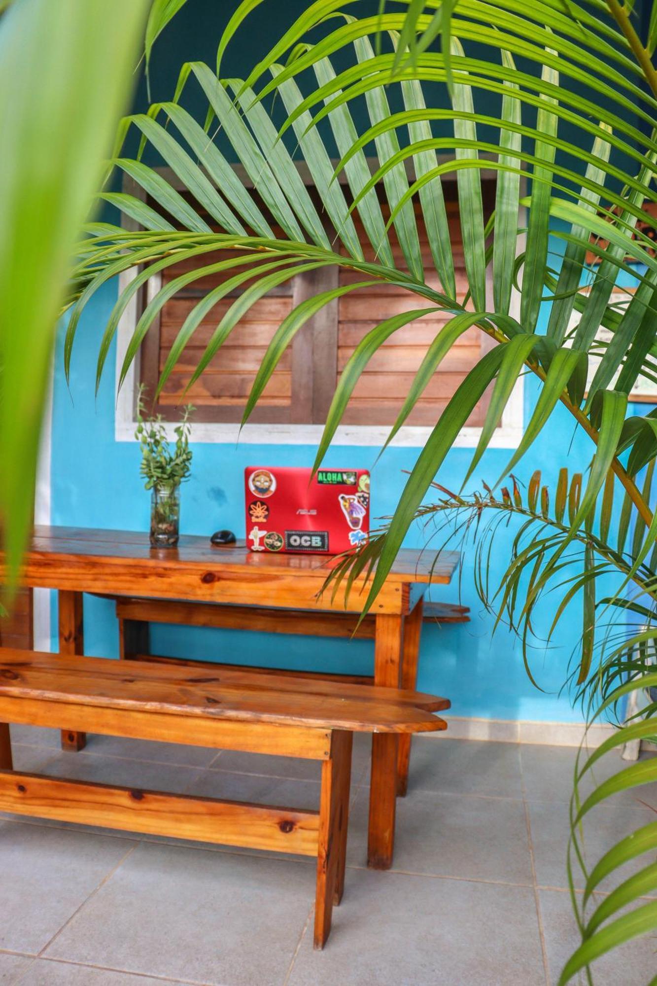 Back To The Beach Hostel - Pipa Praia de Pipa Buitenkant foto